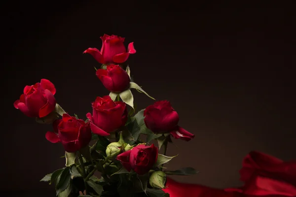 新鮮な赤いバラ — ストック写真