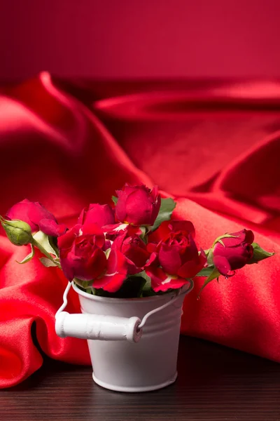 Fresh red rose — Stock Photo, Image