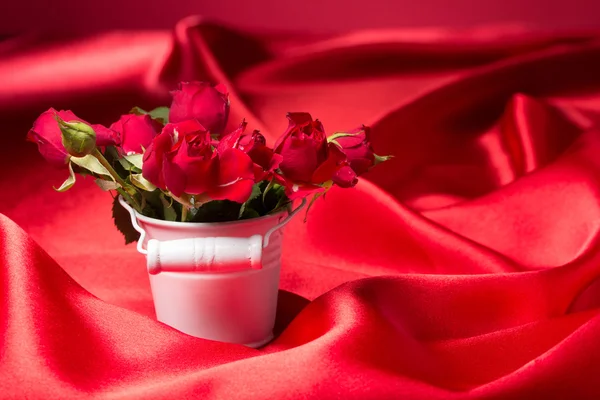 Friss piros rózsa — Stock Fotó