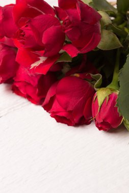 taze kırmızı gül