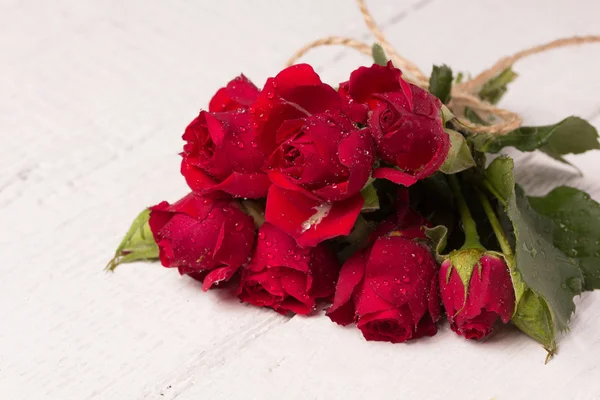 Φρέσκο κόκκινο τριαντάφυλλο — Φωτογραφία Αρχείου