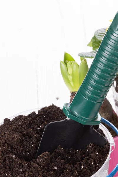 Herramientas de jardinería, plantas y suelo —  Fotos de Stock