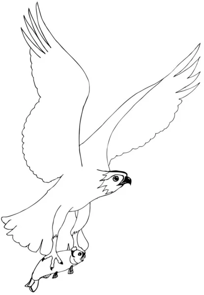 Dravý Pták Drží Rybu Kresba Pro Zbarvení — Stockový vektor