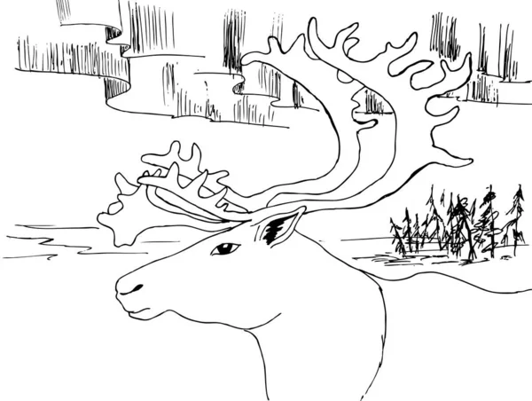 Drawing Coloring Head Reindeer Background Aurora Borealis — Stock Vector
