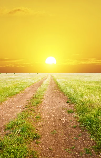 Road on green summer meadow. — Stock Photo, Image