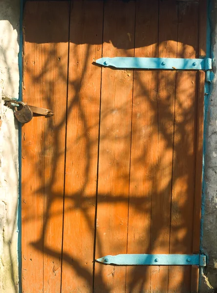 Old door at evening — Stock Photo, Image