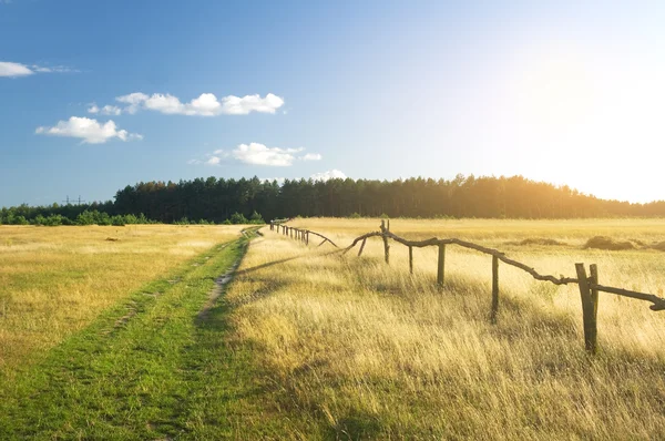 Campo de verano paisaje . — Foto de Stock