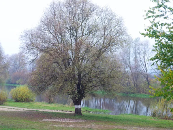 Panoramic Photo Autumn River — Stock Photo, Image