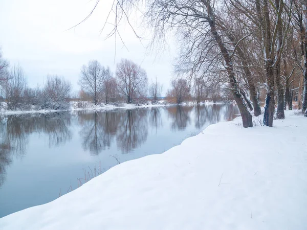 Winter Landscape Trees Bushes Bank Winter River Royalty Free Stock Photos