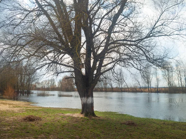 Foto Panoramica Del Fiume Sorgente — Foto Stock