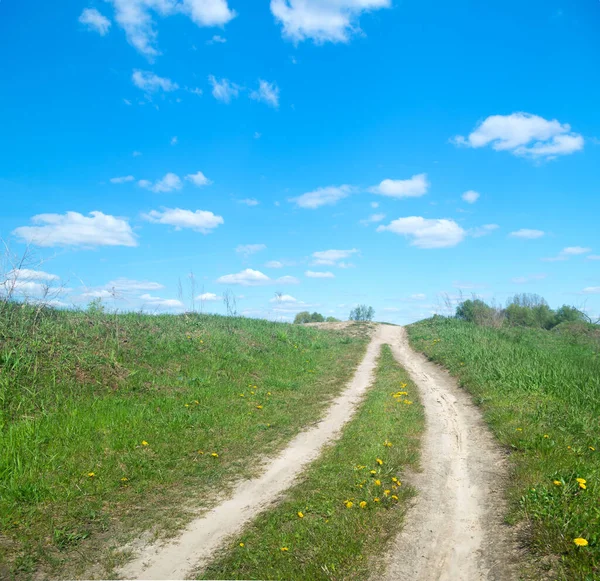 Weg Die Door Zomerweide Naar Horizon Loopt — Stockfoto