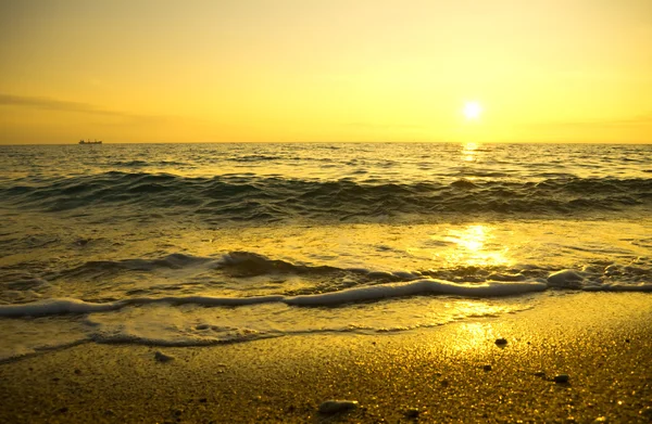 Sunset on the summer beach. — Stock Photo, Image