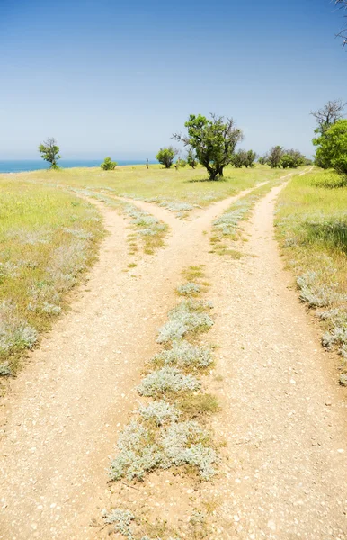 Caminos de bifurcación — Foto de Stock