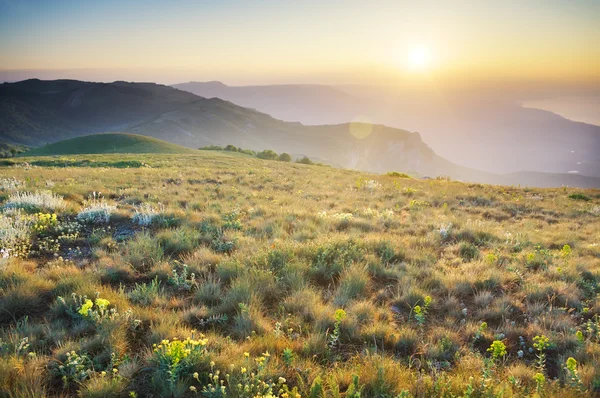 Montañas de verano —  Fotos de Stock