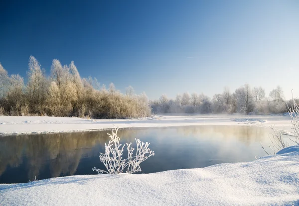 Winter — Stockfoto