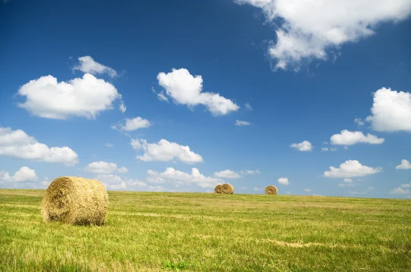 Bales of hay in a large field. — Stock Photo, Image