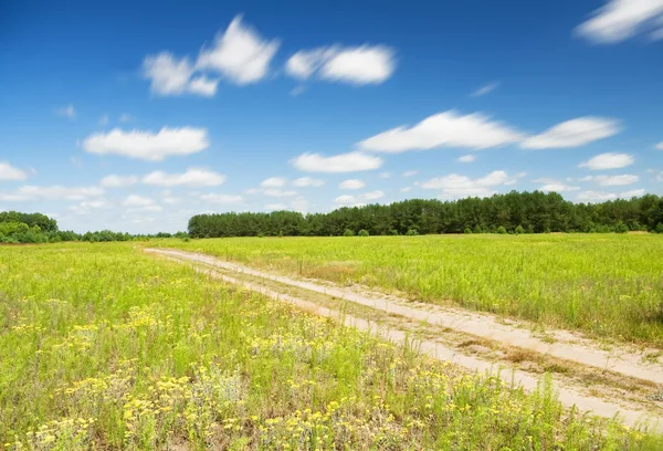 Zomer landschap — Stockfoto