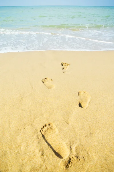 Stopy stezka v mokrém písku — Stock fotografie