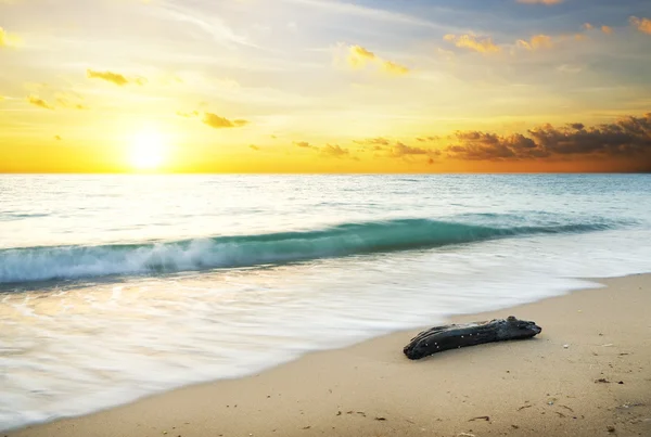 Puesta de sol de verano sobre el mar. — Foto de Stock