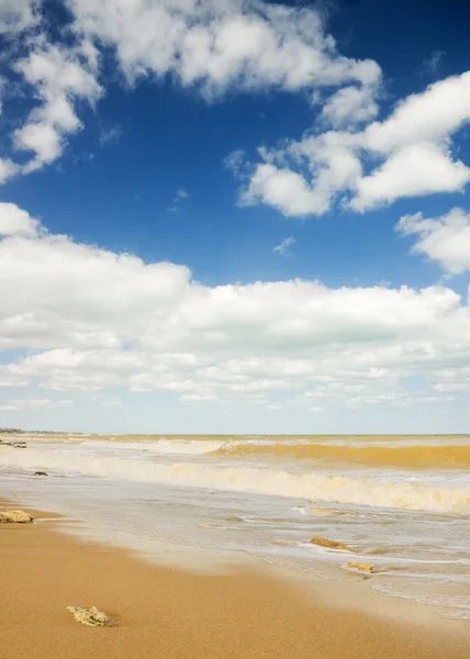 Tropisk strand — Stockfoto