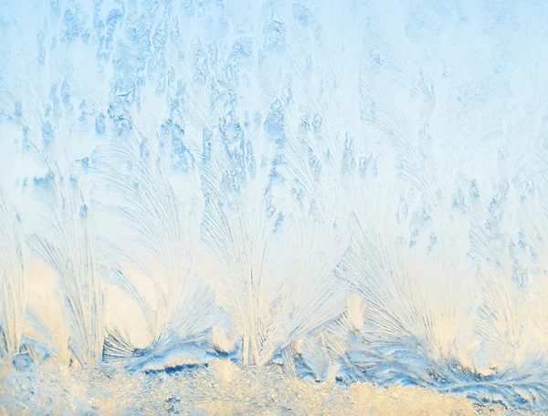 Vorst patronen op glas. — Stockfoto