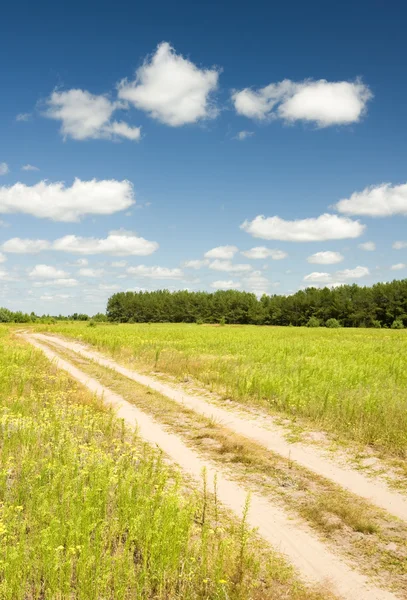 Crossroad throught the vibrant field — Stock Photo, Image