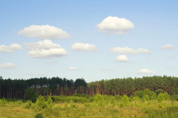 Sommarlandskap — Stockfoto