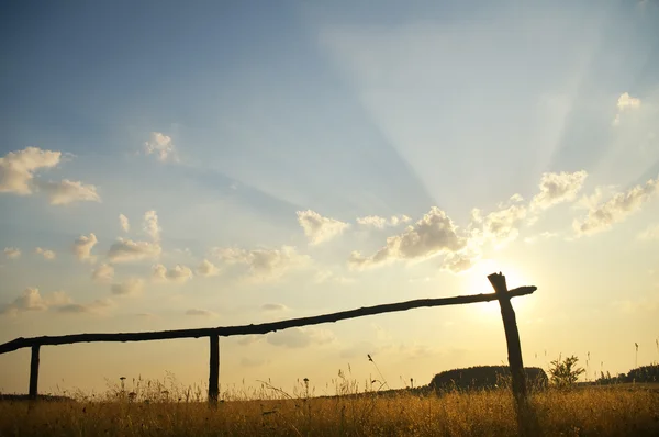 Sommersonnenuntergang auf dem Feld — Stockfoto