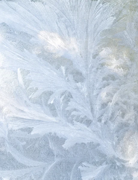 Frozen pattern on glass — Stock Photo, Image