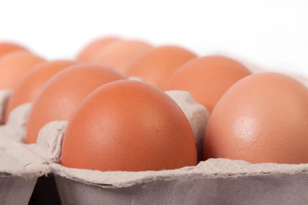 Closeup eggs in cardboard box — Stock Photo, Image