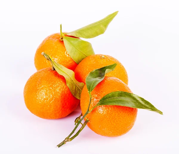 Ripe mandarines on white bacground — Stock Photo, Image