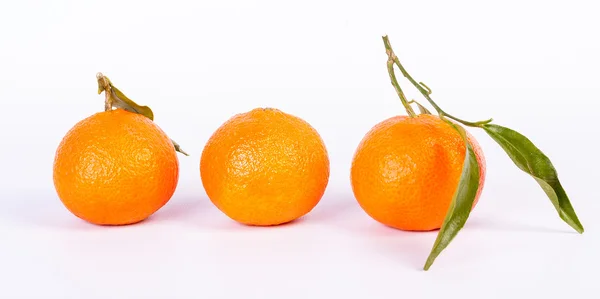 Tres mandarinas sobre fondo blanco Imagen de stock