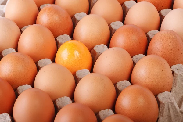 Пасхальне яйце серед коричневих у картонній коробці Ліцензійні Стокові Зображення