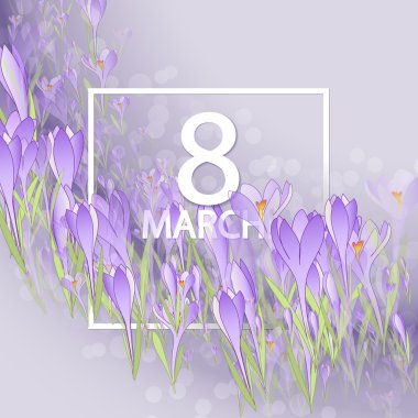 Çerçeve çiğdemler ve kardelen çiçek. Mor arka plan