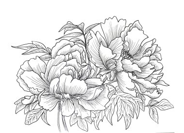 Güzel elle çizilmiş çizimi