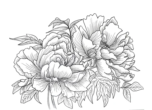 Güzel elle çizilmiş çizimi