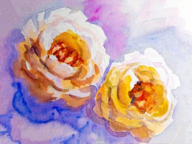 Beyaz güller, sanatsal eskiz. Islak boya.