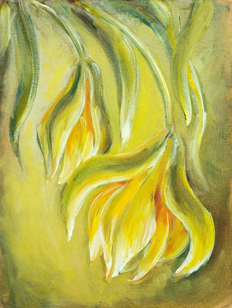 Exotic flowers. Oil painting — Stock Photo, Image