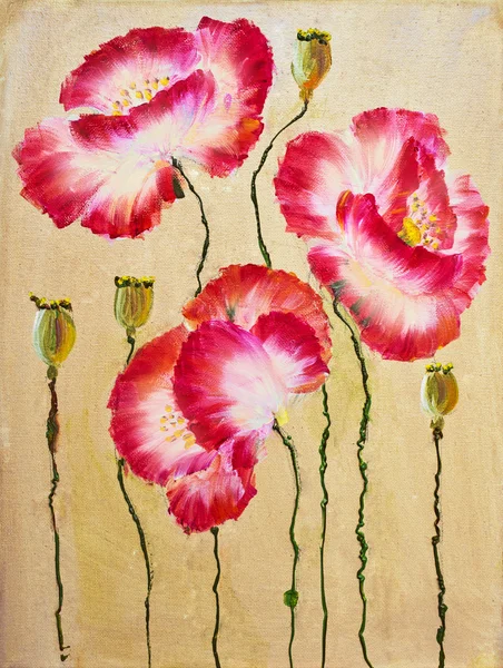 Amapolas rojas. Pintura al óleo — Foto de Stock