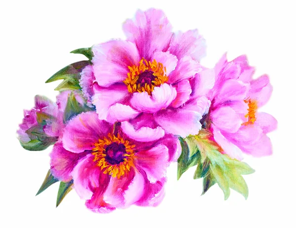Peonies isolated on white, oil painting — Stock Photo, Image