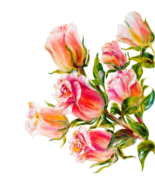 Rosas isoladas em branco, pintura a óleo — Fotografia de Stock