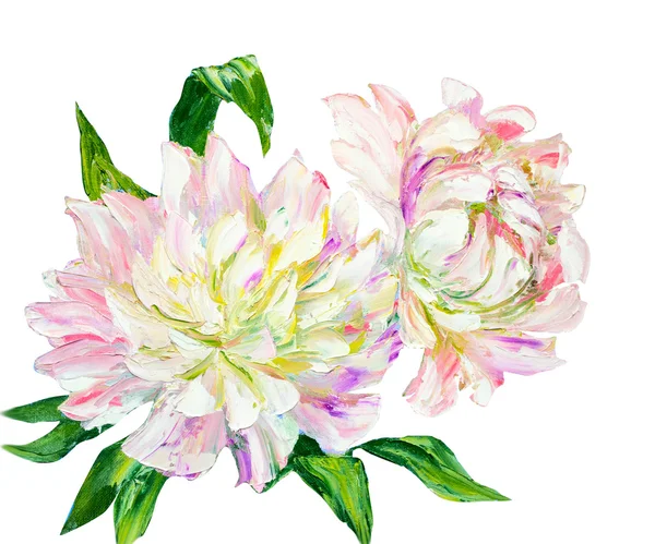 Peonies, tuval üzerine yağlıboya resim — Stok fotoğraf