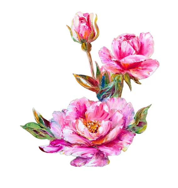 Rose isolate su bianco, pittura ad olio — Foto Stock