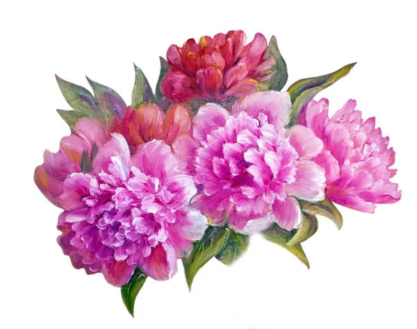 Peonies isolated on white, oil painting — Stock Photo, Image