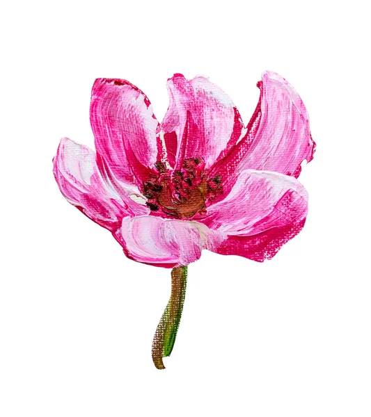 Peony isolated on white, oil painting — Stock Photo, Image