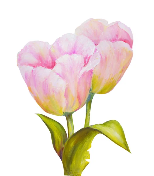 Tulipanes aislados en blanco, pintura al óleo — Foto de Stock