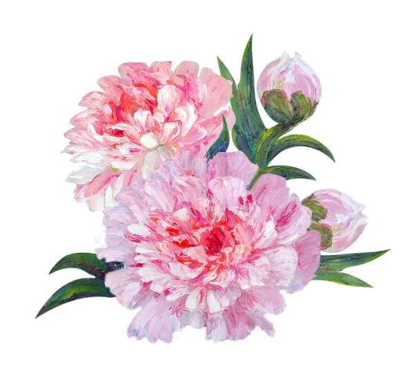 Peony isolated on white, oil painting — Stock Photo, Image