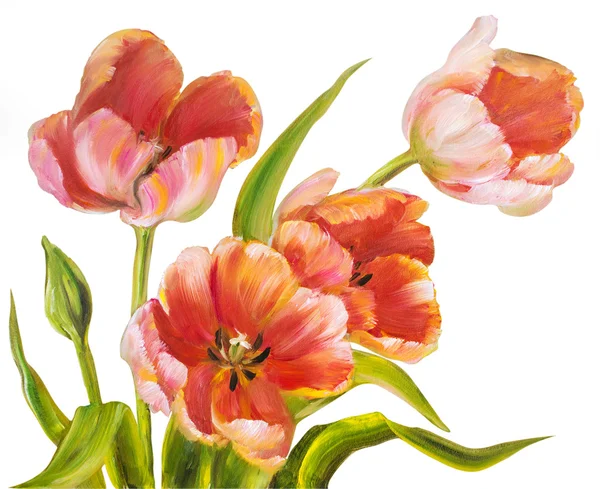 Tulipani rossi vintage . — Foto Stock