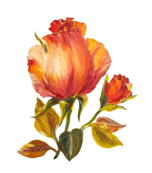 Rosas isoladas em branco, pintura a óleo — Fotografia de Stock