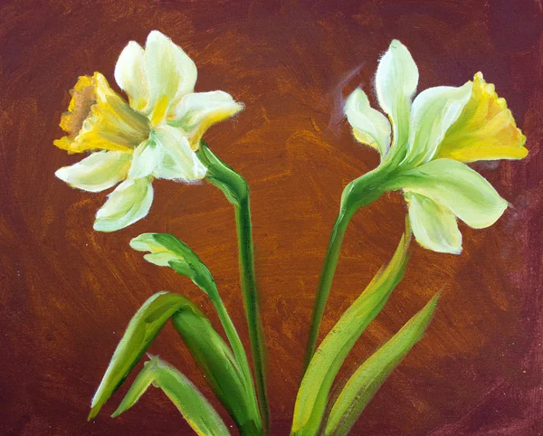 Narcissus oljemålning. — Stockfoto